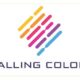 Falling Colors Foundation Announces Women in Technology Scholarship Essay Contest